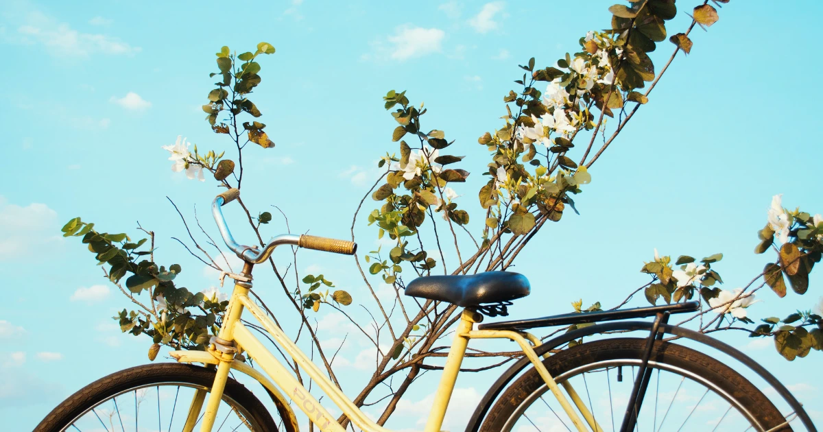 Yellow bicycle in front of branches and sky background
